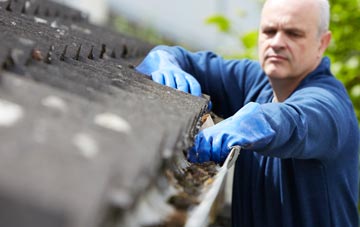 cleaning and inspecting Rose roofs